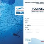 Niveau 1