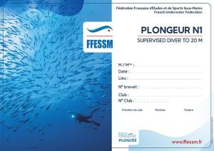 Niveau 1