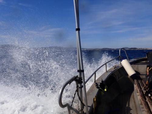 Mer calme pour cette plongée ce matin