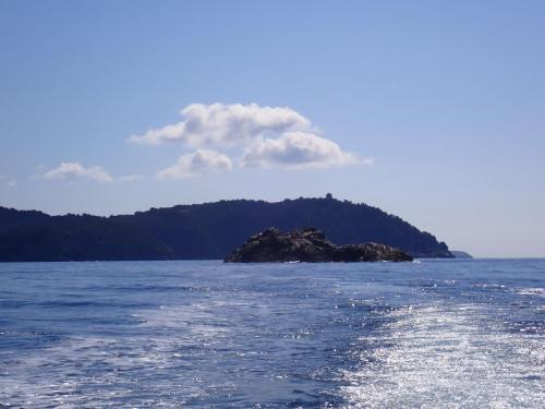 Coucou tout le monde, une photo métrie de notre sortie de ce matin, et là direction la fourmigue prés de la presqu'ile de giens.
