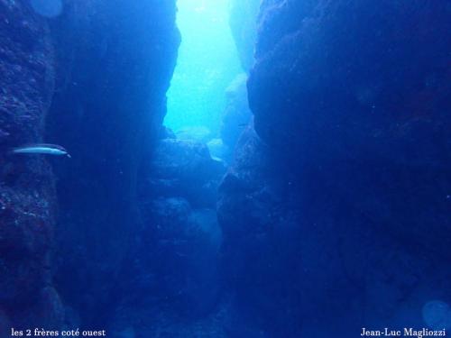 malgré une mer agitée pendant toute la semaine, l'eau n'était pas trop trouble et à 14° environ. La mer était calme et le passage entre les deux frères s'est fait avec un petit "j'avance et je recule" pas très méchant.