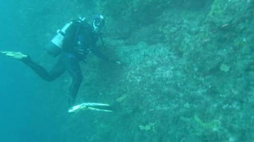 Deux palanquées à l'eau et au bout de 5' on voit Laurent remonter le courant tel un saumon et nous faire des grands signes. Qu'a t il vu?