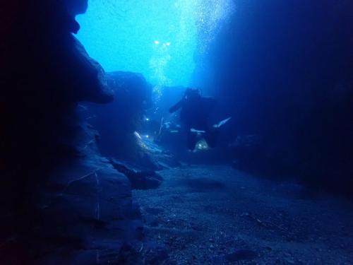 bon on continue. En fait sur ce site de nombreuses grottes, vie animale réduite, végétaux nada..