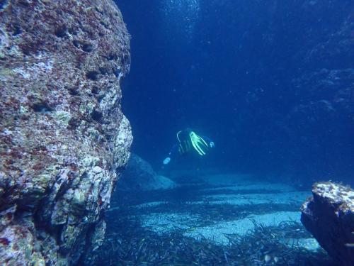 allez on change de grotte ….