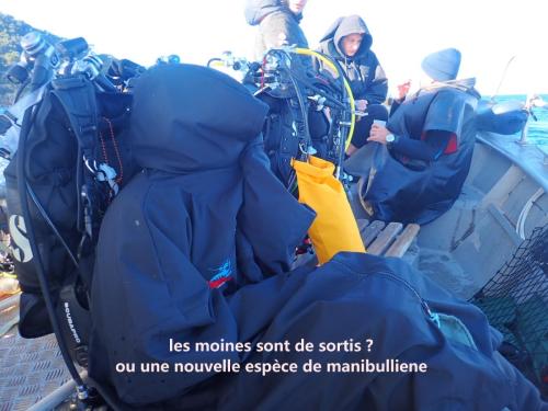 photo mystère