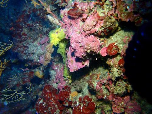 dans l'obscurité des profondeurs éclairé par le seul phare, deux guerriers j'ai croisé