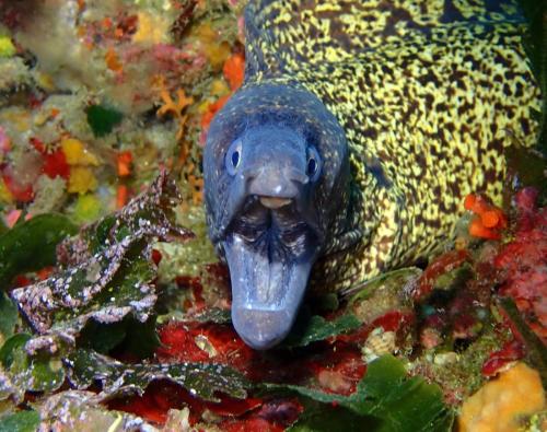 ben quoi? tu veux ma photo?