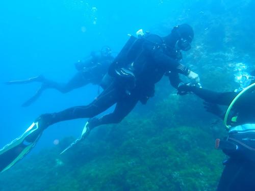 plongée du 1er mai, mer magnifique en surface, un peu trouble  par endroit et surtout, le retour de laurent en dessous de bulles...