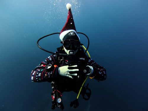 Plongée du 13/12/2025