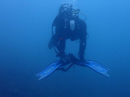 Plongée du 08/03/2026